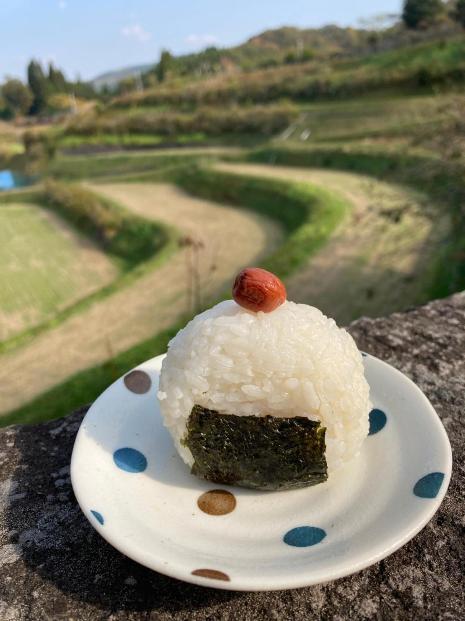 شقة 体験型農家民泊「お陽さまと風」 Bungoono المظهر الخارجي الصورة